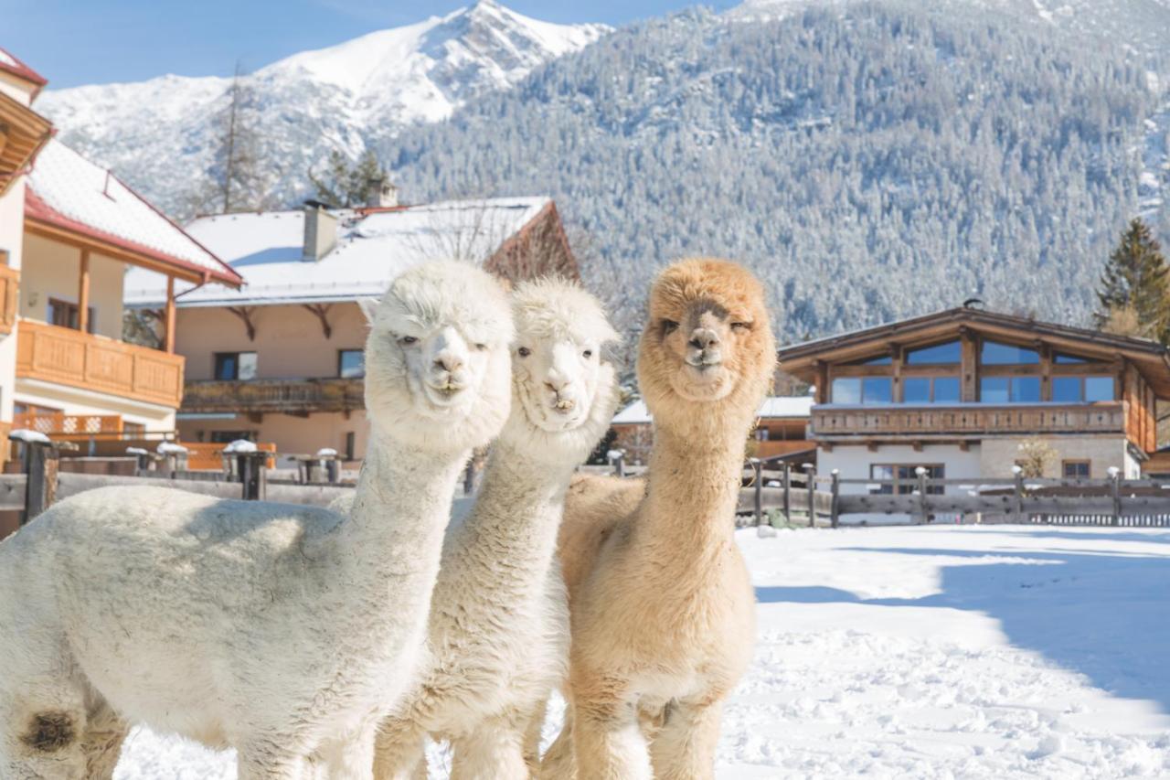Flat Hotel Seefeld in Tirol Kültér fotó